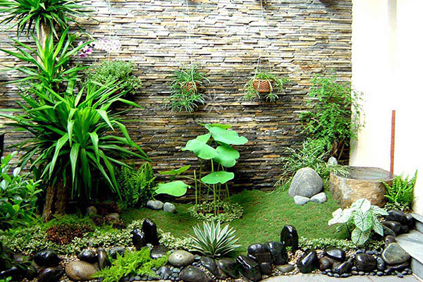 THIẾT KẾ THI CÔNG TIỂU CẢNH CẦN THƠ