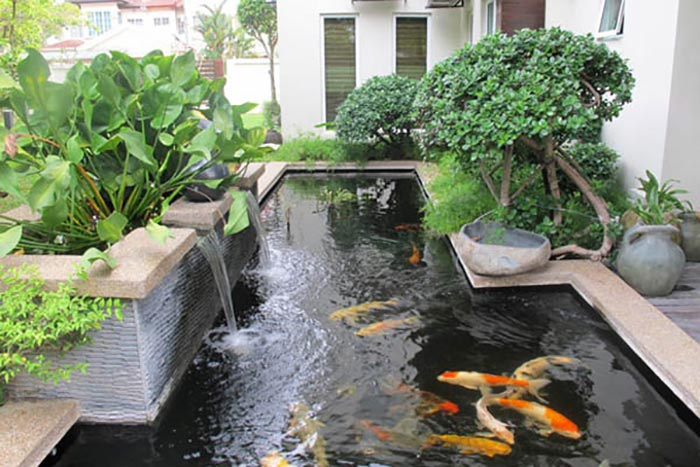 THIẾT KẾ THI CÔNG HỒ CÁ KOI CẦN THƠ
