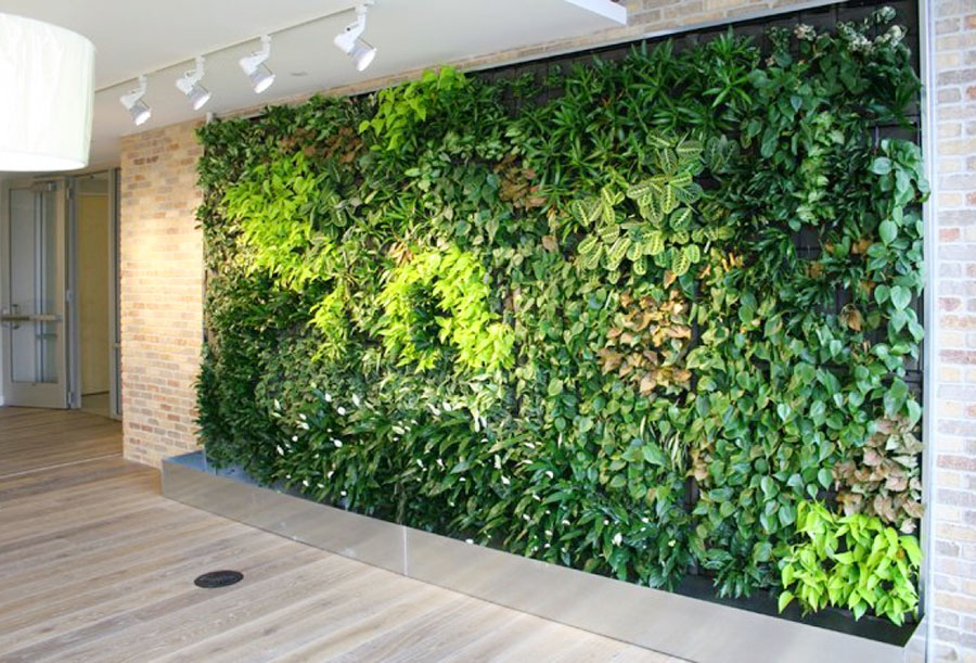 THIẾT KẾ THI CÔNG VƯỜN TƯỜNG ĐỨNG CẦN THƠ