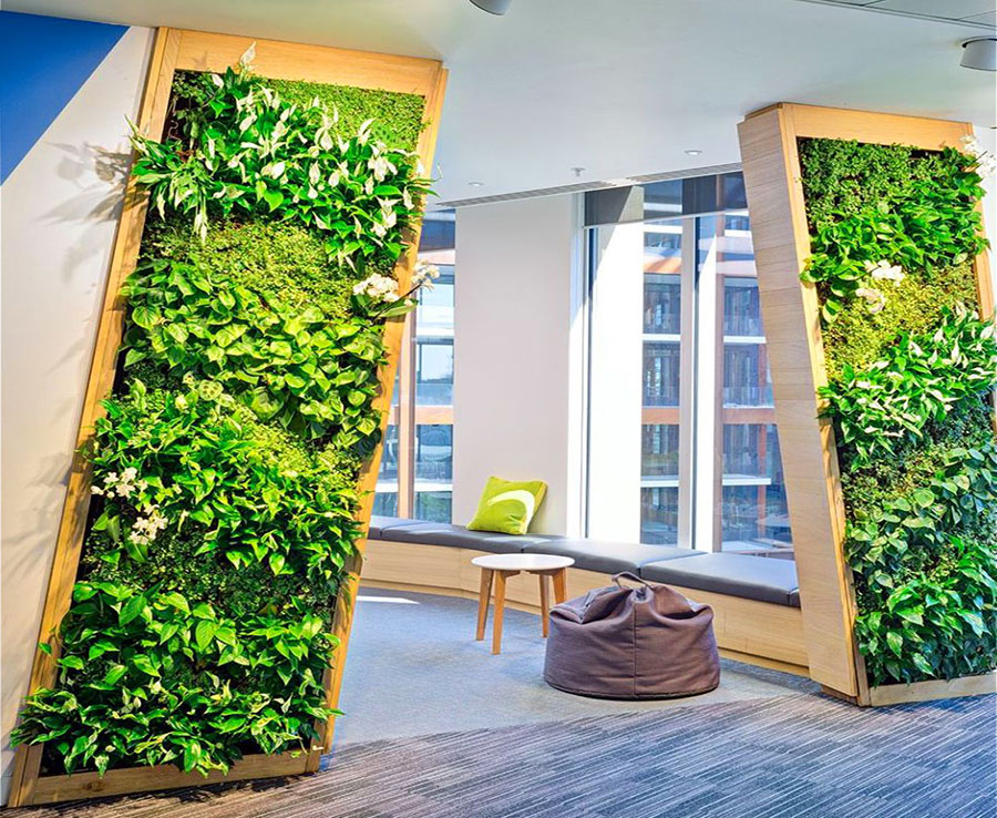 THIẾT KẾ THI CÔNG VƯỜN TƯỜNG ĐỨNG CẦN THƠ